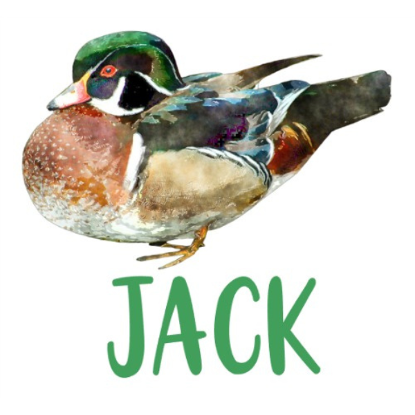 Printed Mallard Bird Design