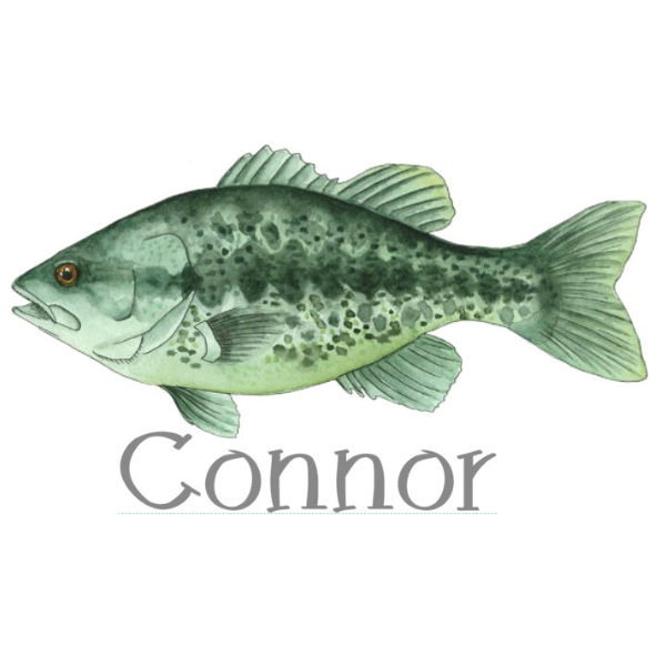 Printed Fishy Fish Design