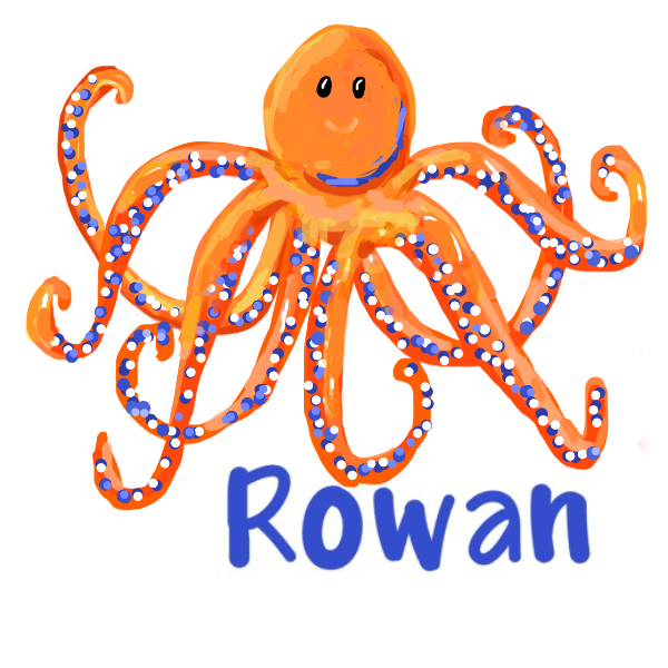 Printed Orange & Blue Octopus Design