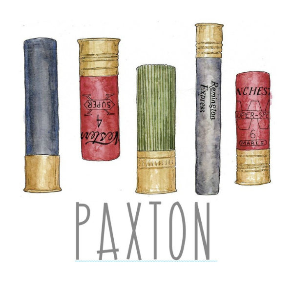 Printed Gun Shells Design