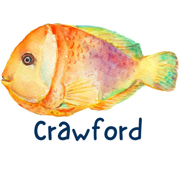 Printed Tropical Fish Design