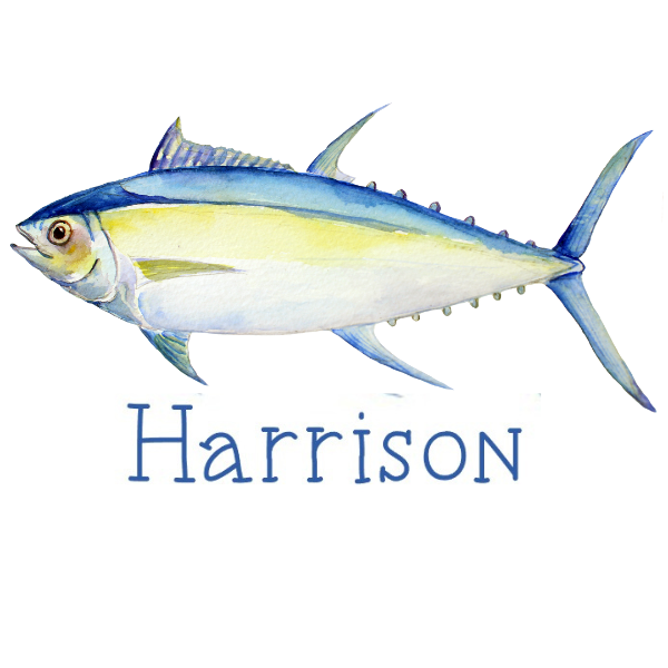 Printed Tuna Fish Design