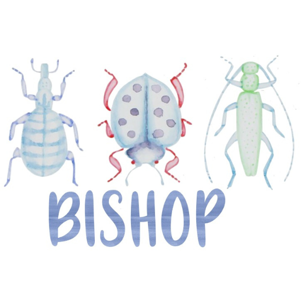 Printed Bug Trio Design